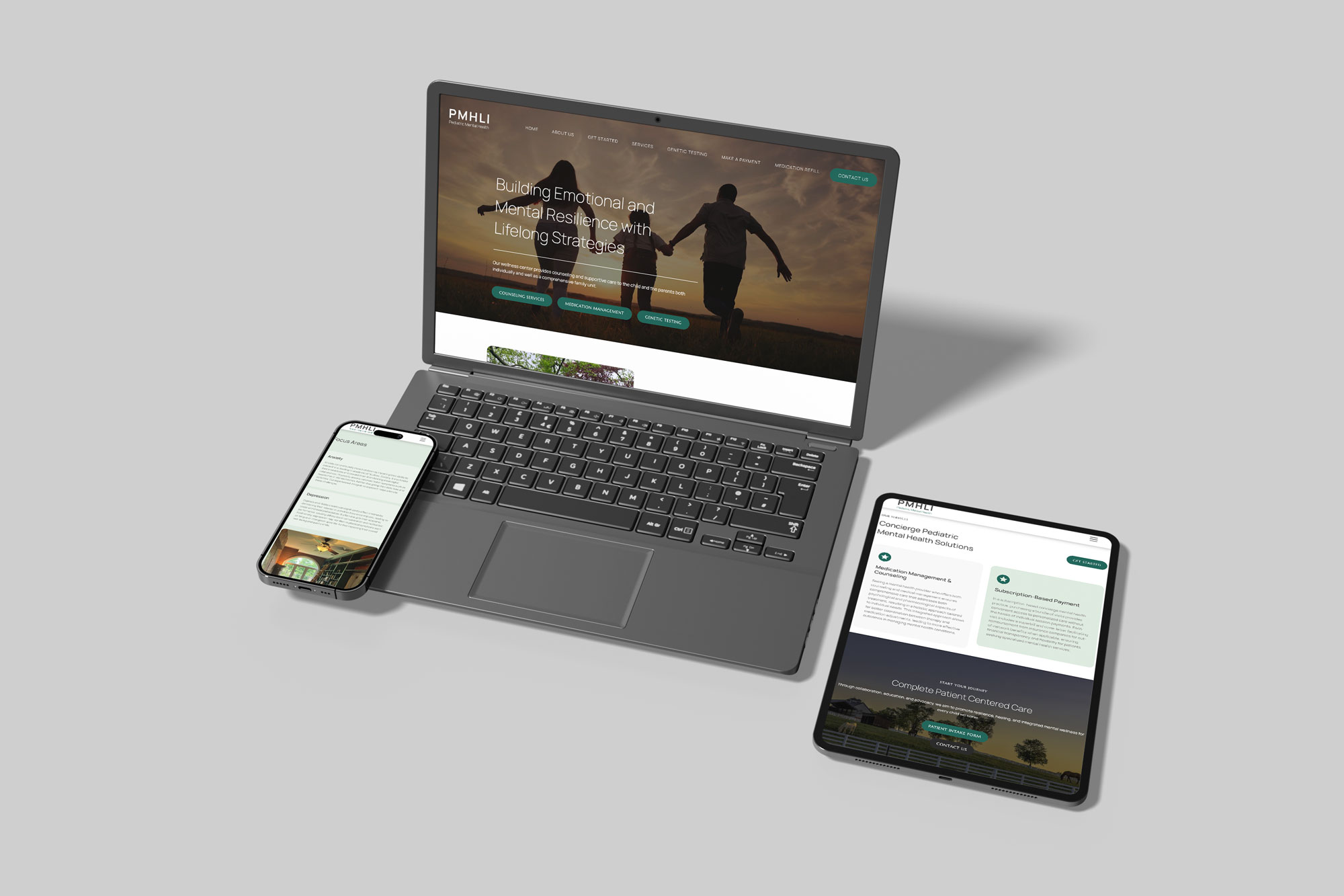 Mental Health Web Design Example - PMH Long Island